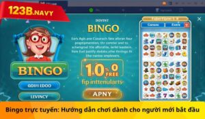 Bingo trực tuyến: Hướng dẫn chơi dành cho người mới bắt đầu