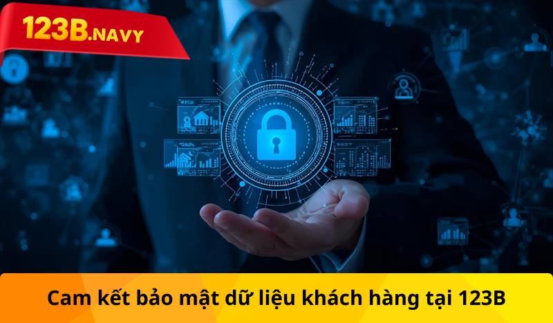 Cam kết bảo mật dữ liệu khách hàng tại 123B