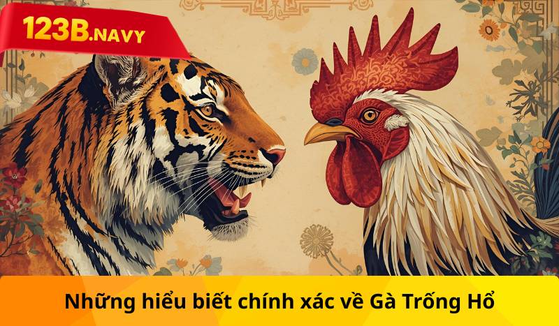 Những hiểu biết chính xác về Gà Trống Hổ